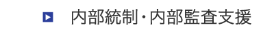 内部統制・内部監査支援