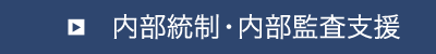 内部統制・内部監査支援